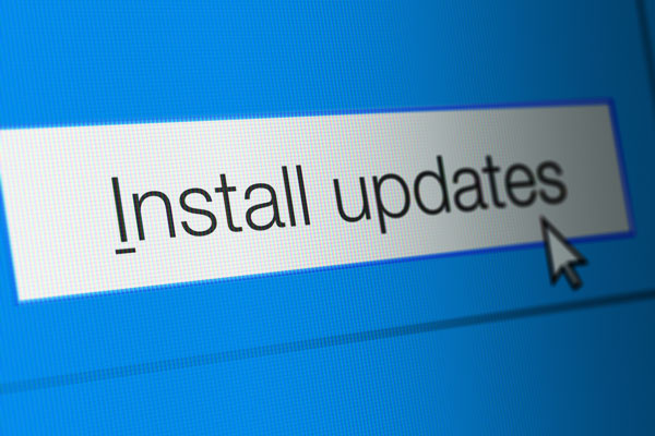 Windows 11 Feature Build installlation button and cursor.