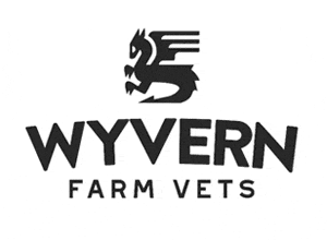 Logo of Priority IT's client Wyvern Farm Vets, Frome.